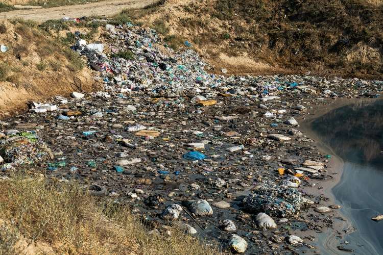 The Real Cost of Illegal Dumping in Hilton Head